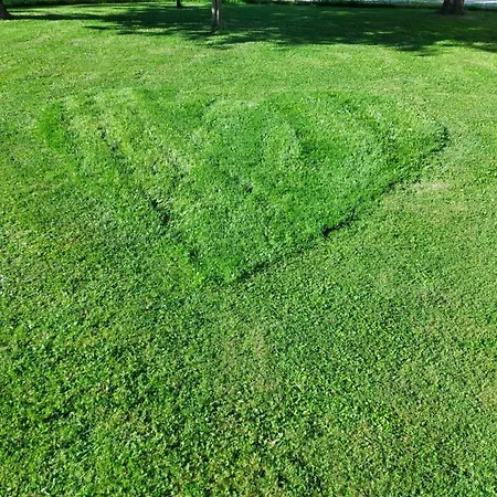 Paolida,aceto Balsamico & Tastings Гостевой дом