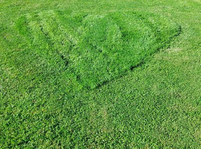 Paolida,aceto Balsamico & Tastings Gasthof