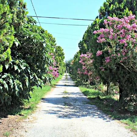 Paolida,aceto Balsamico & Tastings Casa de hóspedes 3*