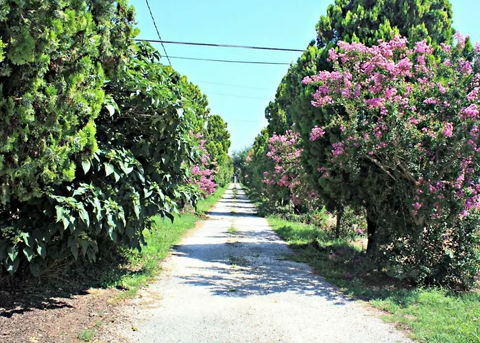 Paolida,aceto Balsamico & Tastings Maison d'hôtes 3*