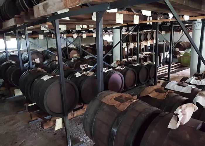 Maison d'hôtes Paolida,aceto Balsamico & Tastings 3*